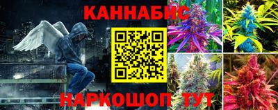PSILOCYBIN Донской