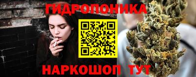 PSILOCYBIN Донской