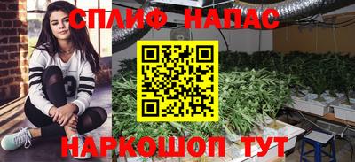 каннабис Дубна