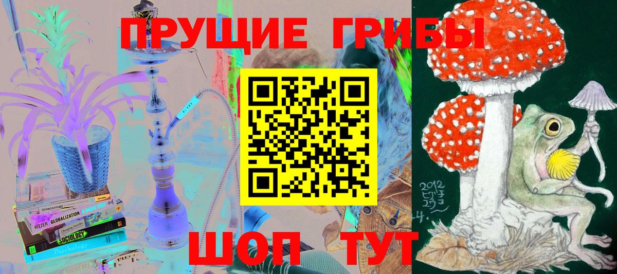 Псилоцибиновые грибы Psilocybine cubensis Лыткарино