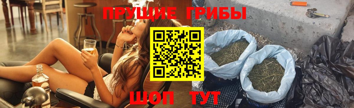 Галлюциногенные грибы Psilocybine cubensis  Вход с VPN  Лыткарино 